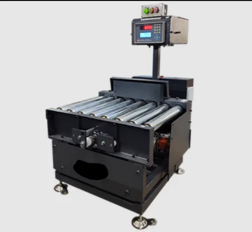 Checkweighing Systems