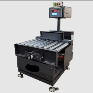Static Check Weigher System