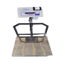 Receipt Printing Platform Weighing Scale